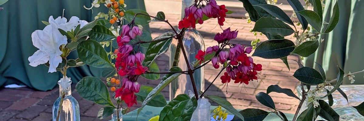 Gumbo z'Herbes Flower Show 2025