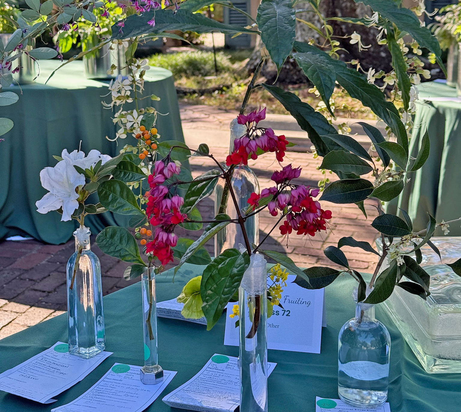 Read more about the article Gumbo z’Herbes Flower Show 2025