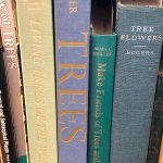 library-spines-trees