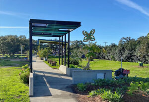 NOTG Art Committee Butterflies are Fluttering Around