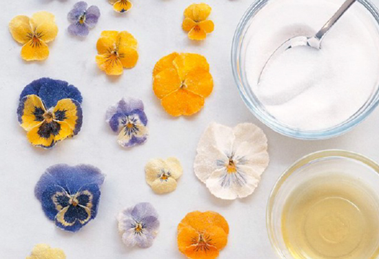 Read more about the article Bon Appetit! Sidney’s Edible Pansy Primer