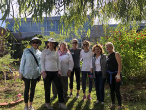 Workday at Arthur Ashe School