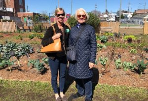 A Visit to the Annual Green Café Pop-up